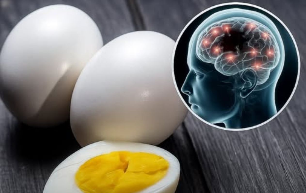 Yumurta Tüketimi Alzheimer Riskini Azaltır mı?