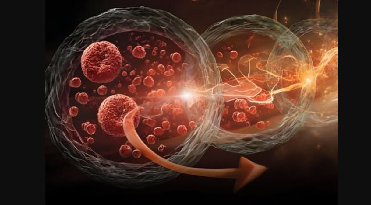 Kandaki bir protein yaşlanmayı yayıyor HMGB1 keşfi laboratuvarda yaşlanmayı geri çevirdi