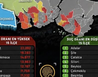SUÇ ORANLARI